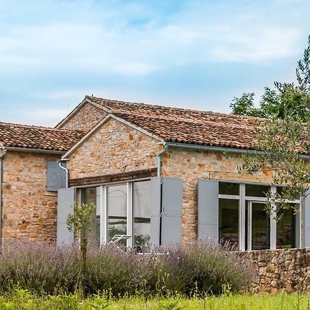 Tenuta Paljari Vižinada المظهر الخارجي الصورة