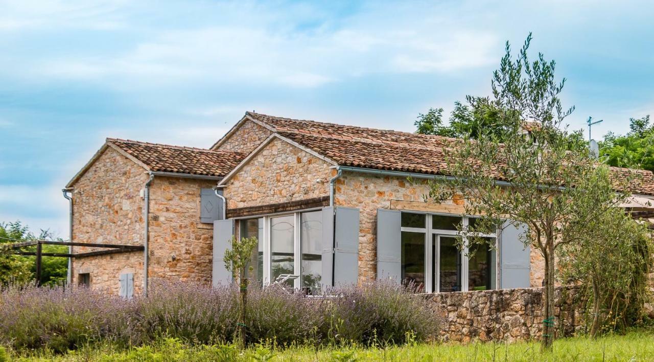 Tenuta Paljari Vižinada المظهر الخارجي الصورة